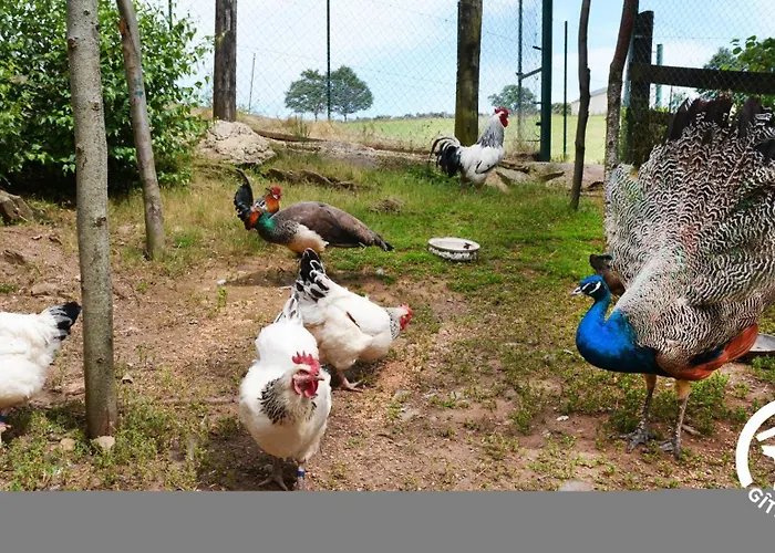 Сasa de vacaciones Le Du Puech De Fons